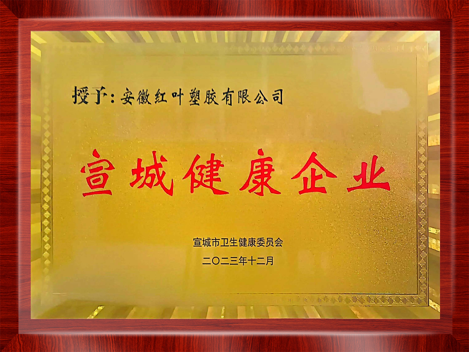 宣城健康企业